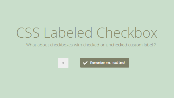 CSS Checkbox